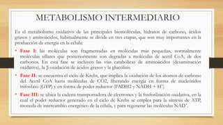 METABOLISMO INTERMEDIARIO
Es el metabolismo oxidativo de las principales biomoléculas, hidratos de carbono, ácidos
grasos y aminoácidos, habitualmente se divide en tres etapas, que son muy importantes en la
producción de energía en la célula:
• Fase I: las moléculas son fragmentadas en moléculas más pequeñas, normalmente
moléculas sillares que posteriormente son degradas a moléculas de acetil CoA, de dos
carbonos. En esta fase se incluyen las vías catabólicas de aminoácidos (desaminación
oxidativa), la β-oxidación de ácidos grasos y la glucólisis.
• Fase II: se encuentra el ciclo de Krebs, que implica la oxidación de los átomos de carbono
del Acetil CoA hasta moléculas de CO2, liberando energía en forma de nucleótidos
trifosfato (GTP) y en forma de poder reductor (FADH2 y NADH + H΅)
• Fase III: se ubica la cadena transportadora de electrones y la fosforilzación oxidativa, en la
cual el poder reductor generado en el ciclo de Krebs se emplea para la síntesis de ATP,
moneda de intercambio energético de la célula, y para regenerar las moléculas NAD΅.
 