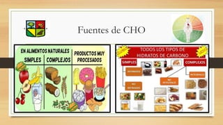 Fuentes de CHO
 