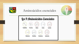 Aminoácidos esenciales
 