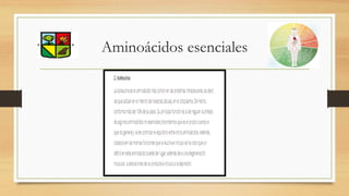 Aminoácidos esenciales
 