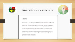 Aminoácidos esenciales
 