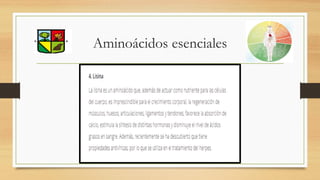 Aminoácidos esenciales
 