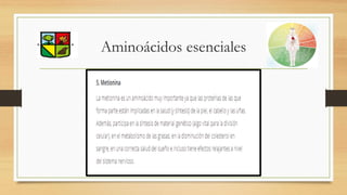 Aminoácidos esenciales
 