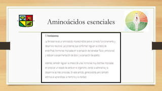 Aminoácidos esenciales
 