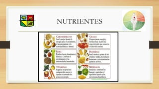 NUTRIENTES
 