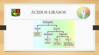 ÁCIDOS GRASOS
 