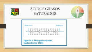 ÁCIDOS GRASOS
SATURADOS
 