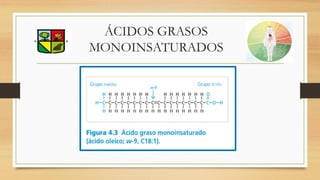 ÁCIDOS GRASOS
MONOINSATURADOS
 