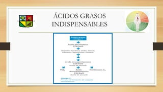 ÁCIDOS GRASOS
INDISPENSABLES
 