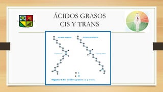 ÁCIDOS GRASOS
CIS Y TRANS
 