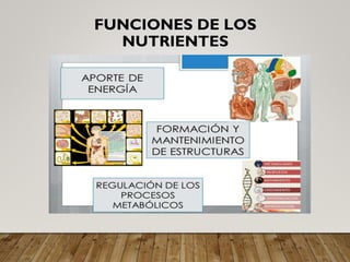 FUNCIONES DE LOS
NUTRIENTES
 