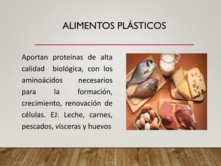 ALIMENTOS PLÁSTICOS
Aportan proteínas de alta
calidad biológica, con los
aminoácidos necesarios
para la formación,
crecimiento, renovación de
células. EJ: Leche, carnes,
pescados, vísceras y huevos
 