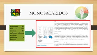 MONOSACÁRIDOS
Contienen de
tres a seis
átomos de
carbono: triosas,
tetrosas,
pentosas o
hexosas.
 