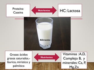 Proteína:
Caseína HC: Lactosa
Grasas: ácidos
grasos saturados.-
láurico, mirístico y
palmítico
Vitaminas :A,D,
Complejo B, y
minerales: Ca, P,
Mg,Zn
Alimento
Nutrientes
 