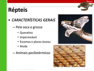 Ciências – 7º ano Ens. Fundamental 4º Bimestre Profa. Rebeca Vale
Répteis
Répteis
• CARACTERÍSTICAS GERAIS
– Pele seca e grossa
• Queratina
• Impermeável
• Escamas e placas ósseas
• Muda
– Animais pecilotérmicos
 