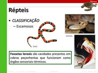 Ciências – 7º ano Ens. Fundamental 4º Bimestre Profa. Rebeca Vale
Répteis
• CLASSIFICAÇÃO
– Escamosos
Répteis
Coral.
Jararaca.
Fossetas loreais são cavidades presentes em
cobras peçonhentas que funcionam como
órgãos sensoriais-térmicos.
 