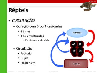 Ciências – 7º ano Ens. Fundamental 4º Bimestre Profa. Rebeca Vale
Répteis
Répteis
• CIRCULAÇÃO
– Coração com 3 ou 4 cavidades
• 2 átrios
• 1 ou 2 ventrículos
– Parcialmente dividido
– Circulação
• Fechada
• Dupla
• Incompleta
AE
AD
Órgãos
Pulmões
V
AE
AD
VD VE
 