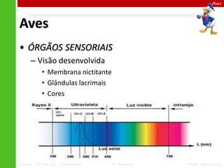 Ciências – 7º ano Ens. Fundamental 4º Bimestre Profa. Rebeca Vale
Aves
Aves
• ÓRGÃOS SENSORIAIS
– Visão desenvolvida
• Membrana nictitante
• Glândulas lacrimais
• Cores
 