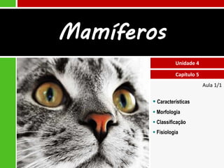 Aula 1/1
 Características
 Morfologia
 Classificação
 Fisiologia
Unidade 4
Capítulo 5
Mamíferos
 