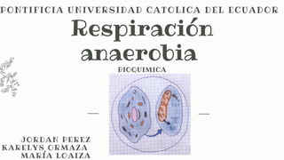 Respiración
anaerobia
JORDAN PEREZ
KARELYS ORMAZA
MARÍA LOAIZA
PONTIFICIA UNIVERSIDAD CATOLICA DEL ECUADOR
BIOQUIMICA
 