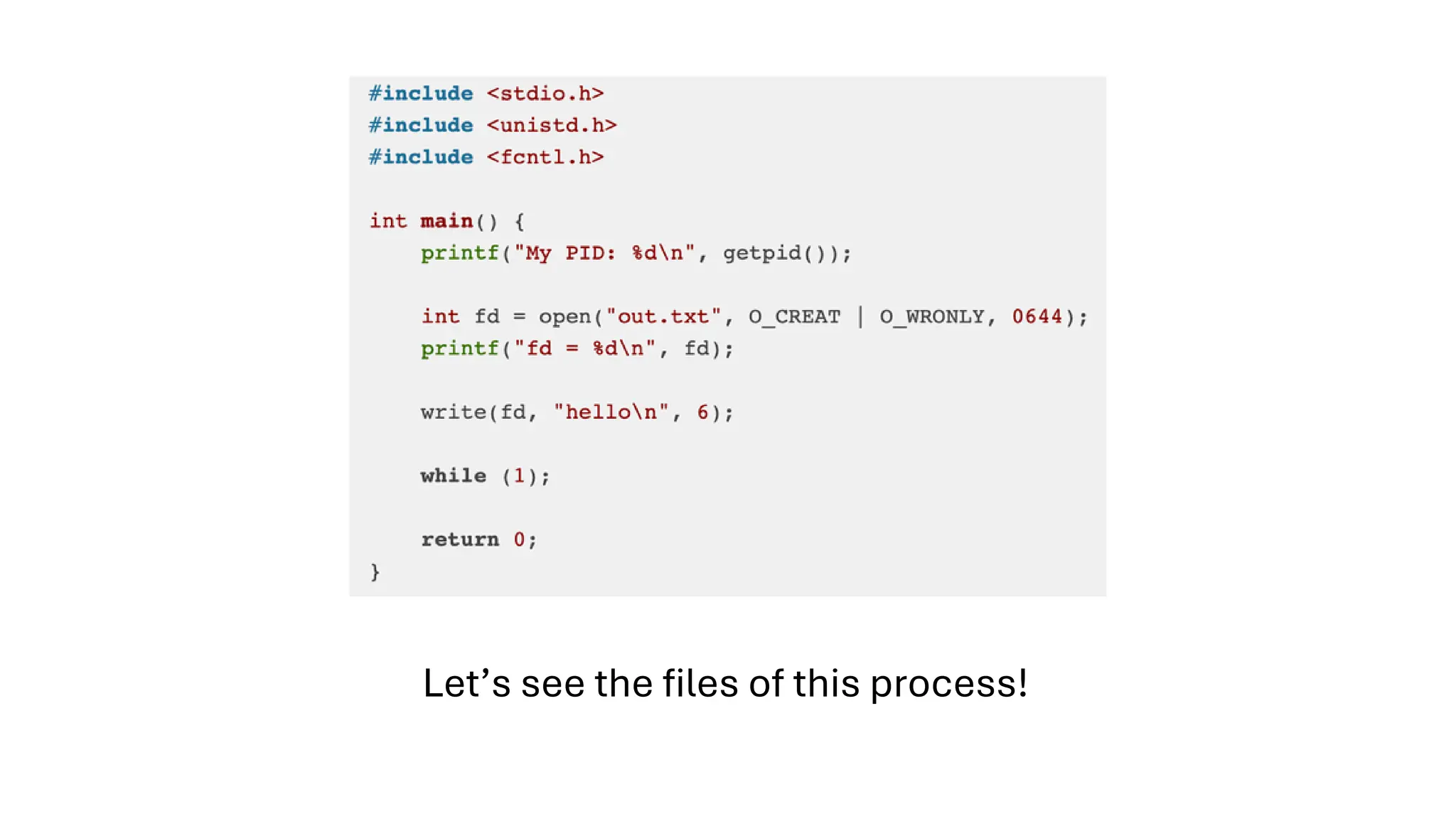 Let’s see the files of this process!
 