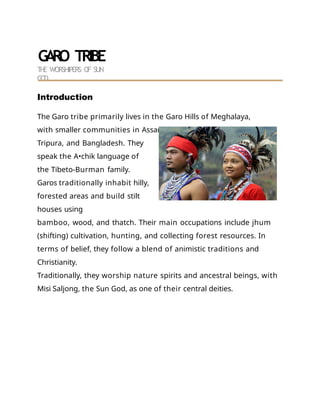 GARO TRIBE Collage project presentation BY RIMI SANA.pptx