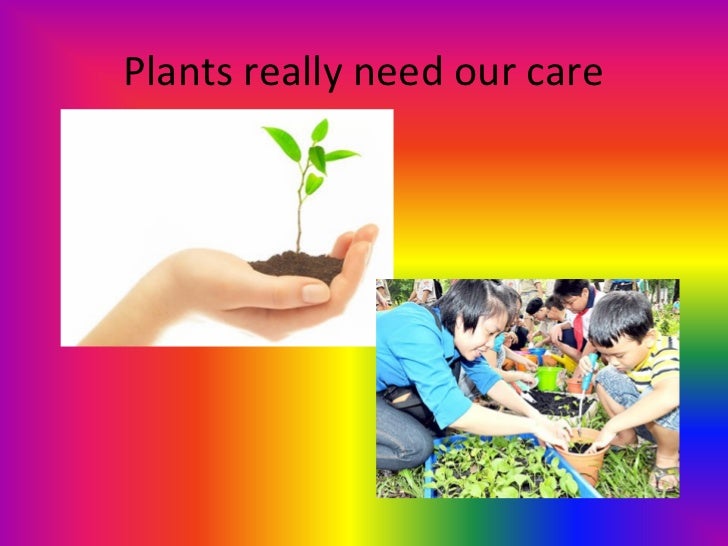 I love plants
