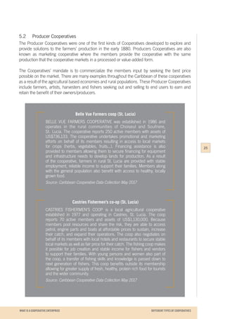 WHAT IS A COOPERATIVE ENTERPRICE
Belle Vue Farmers coop (St. Lucia)
BELLE VUE FARMERS COOPERATIVE was established in 1986 and
operates in the rural communities of Choiseul and Soufriere,
St. Lucia. The cooperative reports 250 active members with assets of
US$736,133. The cooperative undertakes promotional and marketing
efforts on behalf of its members resulting in access to local markets
for crops (herbs, vegetables, fruits...). Financing assistance is also
provided to members allowing them to secure financing for equipment
and infrastructure needs to develop lands for production. As a result
of the cooperative, farmers in rural St. Lucia are provided with stable
employment, reliable income to support their families. Members along
with the general population also benefit with access to healthy, locally
grown food.
Source: Caribbean Cooperative Data Collection May 2017
Castries Fishermen’s co-op (St. Lucia)
CASTRIES FISHERMEN’S COOP is a local agricultural cooperative
established in 1977 and operating in Castries, St. Lucia. The coop
reports 70 active members and assets of US$1,130,000. Because
members pool resources and share the risk, they are able to access
petrol, engine parts and boats at affordable prices to sustain, increase
their catch, and expand their operations. The coop also negotiates on
behalf of its members with local hotels and restaurants to secure stable
local markets as well as fair price for their catch. The fishing coop makes
it possible for job creation and stable income for fishers and vendors
to support their families. With young persons and women also part of
the coop, a transfer of fishing skills and knowledge is passed down to
next generation of fishers. This coop benefits outside its membership
allowing for greater supply of fresh, healthy, protein rich food for tourists
and the wider community.
Source: Caribbean Cooperative Data Collection May 2017
5.2	 Producer Cooperatives
The Producer Cooperatives were one of the first kinds of Cooperatives developed to explore and
provide solutions to the farmers’ production in the early 1880. Producers Cooperatives are also
known as marketing cooperative where the members provide the cooperative with the same
production that the cooperative markets in a processed or value-added form.
The Cooperatives’ mandate is to commercialize the members input by seeking the best price
possible on the market. There are many examples throughout the Caribbean of these cooperatives
as a result of the agricultural based economies and rural populations. These Producer Cooperatives
include farmers, artists, harvesters and fishers seeking out and selling to end users to earn and
retain the benefit of their owners/producers.
25
DIFFERENT TYPES OF COOPERATIVES
 