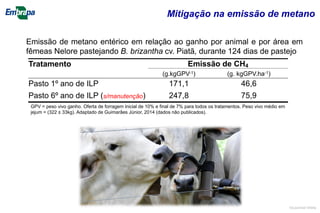 Tratamento Emissão de CH4
(g.kgGPV-1) (g. kgGPV.ha-1)
Pasto 1º ano de ILP 171,1 46,6
Pasto 6º ano de ILP (s/manutenção) 247,8 75,9
GPV = peso vivo ganho. Oferta de forragem inicial de 10% e final de 7% para todos os tratamentos. Peso vivo médio em
jejum = (322 ± 33kg). Adaptado de Guimarães Júnior, 2014 (dados não publicados).
Emissão de metano entérico em relação ao ganho por animal e por área em
fêmeas Nelore pastejando B. brizantha cv. Piatã, durante 124 dias de pastejo
Mitigação na emissão de metano
©Lourival Vilela
 