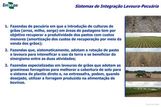 Sistemas de Integração Lavoura-Pecuária
1. Fazendas de pecuária em que a introdução de culturas de
grãos (arroz, milho, sorgo) em áreas de pastagens tem por
objetivo recuperar a produtividade dos pastos com custos
menores (amortização dos custos de recuperação por meio da
venda dos grãos);
2. Fazendas que, sistematicamente, adotam a rotação de pasto
e lavoura para intensificar o uso da terra e se beneficiar do
sinergismo entre as duas atividades;
3. Fazendas especializadas em lavouras de grãos que adotam as
gramíneas forrageiras para melhorar a cobertura de solo para
o sistema de plantio direto e, na entressafra, podem, quando
desejado, utilizar a forragem produzida na alimentação de
bovinos.
©Lourival Vilela
 
