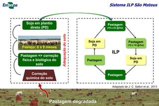 Correção
química do solo
Pastagem => correção
física e biológica do
solo
Soja em plantio
direto (PD)
Pastejo: 6 a 9 meses
Pastagem
(15 a 16 @/ha)
Pastagem
(19 a 22 @/ha)
Soja em
PD
Pastagem
Pastagem
Soja em
PD
ILP
Adequaçãodosolo
Pastagem degradada
Adaptado de J. C. Salton et al., 2013
Sistema ILP São Mateus
©Lourival Vilela
 