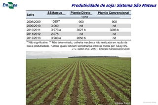Produtividade de soja: Sistema São Mateus
SSMateus Plantio Direto Plantio Convencional
2008/2009 1080ns
900 900
2009/2010 3.060 nd nd
2010/2011 3.973 a 3027 b 3286 b
2011/2012 2.075 nd nd
2012/2013 3.960 a 2650 b nd
............................ kg/ha ......................................
Safra
ns
Não significativo. nd
Não determinado, colheita mecânica não realizada em razão da
baixa produtividade. *Letras iguais indicam semelhança entre as média por Tukey 5%.
J. C. Salton et al., 2013 – Embrapa Agropecuária Oeste
©Edmar Paiva ©Lourival Vilela
 