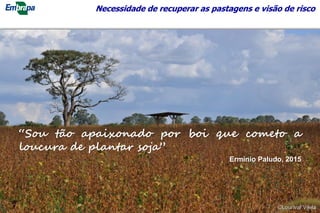 Necessidade de recuperar as pastagens e visão de risco
“Sou tão apaixonado por boi que cometo a
loucura de plantar soja”
Ermínio Paludo, 2015
15
©Lourival Vilela
 