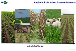Atividades/Tempo
Implantação de ILP em fazendas de lavoura
©Lourival Vilela
 