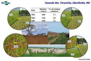 Fazenda Sta. Terezinha, Uberlândia, MG
100%
Pasto depois
de cerrado
1983
1988
19921996
Rebanho Tx. de Lotação
(cabeça) (cabeça/ha)
1983 1094 1,1
1992 1150 2,8
1996 1200 3,2
Anos
©Lourival Vilela
 