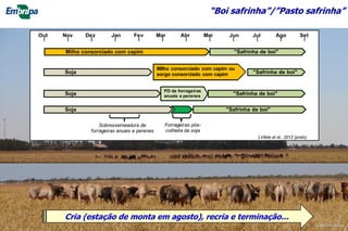 “Boi safrinha”/”Pasto safrinha”
LVilela et al., 2012 (prelo)
Milho consorciado com capim
Out Nov Dez Jan Fev Mar Abr Mai Jun Jul Ago Set
"Safrinha de boi"
Soja
Milho consorciado com capim ou
sorgo consorciado com capim "Safrinha de boi"
"Safrinha de boi"Soja
Soja
PD de forrageiras
anuais e perenes "Safrinha de boi"
Sobressemeadura de
forrageiras anuais e perenes
Forrageiras pós-
colheita da soja
Cria (estação de monta em agosto), recria e terminação...
©Lourival Vilela
 