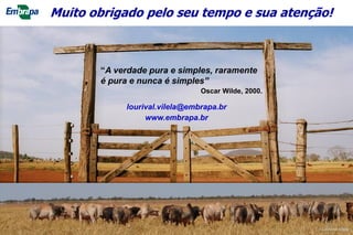 Foto de Adriano Lupinacci
Muito obrigado pelo seu tempo e sua atenção!
33
lourival.vilela@embrapa.br
www.embrapa.br
“A verdade pura e simples, raramente
é pura e nunca é simples”
Oscar Wilde, 2000.
©Lourival Vilela
 