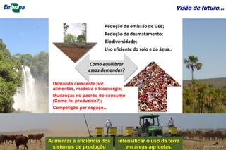 Visão de futuro...
Redução de emissão de GEE;
Redução de desmatamento;
Biodiversidade;
Uso eficiente do solo e da água..
Demanda crescente por
alimentos, madeira e bioenergia;
Mudanças no padrão do consumo
(Como foi produzido?);
Competição por espaço...
Aumentar a eficiência dos
sistemas de produção
Intensificar o uso da terra
em áreas agrícolas.
Como equilibrar
essas demandas?
5
©Lourival Vilela
 