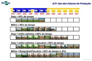 ILP: Uso dos Fatores de Produção
Soja  42% do tempo
Milho  50% do tempo
Milho + Braquiária/Pecuária  92% do tempo ( 8%)
Soja + milho safrinha  80% do tempo
Soja + milho safrinha + pecuária  92% do tempo
OUT NOV DEZ JAN FEV MAR ABR MAI JUN JUL AGO SET
©Lourival Vilela
 