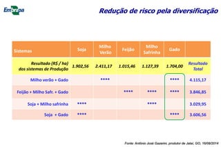 Sistemas Soja
Milho
Verão
Feijão
Milho
Safrinha
Gado
Resultado (R$ / ha)
dos sistemas de Produção
1.902,56 2.411,17 1.015,46 1.127,39 1.704,00
Resultado
Total
Milho verão + Gado **** **** 4.115,17
Feijão + Milho Safr. + Gado **** **** **** 3.846,85
Soja + Milho safrinha **** **** 3.029,95
Soja + Gado **** **** 3.606,56
Redução de risco pela diversificação
Fonte: Antônio José Gazarini, produtor de Jataí, GO, 16/08/2014
 