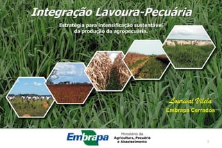 1 
Integração Lavoura-Pecuária 
Estratégia para intensificação sustentável da produção da agropecuária. 
Lourival Vilela 
Embrapa Cerrados  