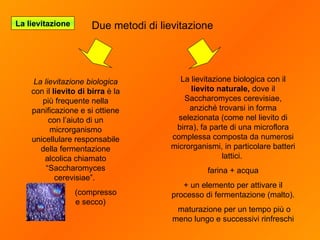 La lievitazione biologica con il  lievito naturale,  dove il Saccharomyces cerevisiae, anziché trovarsi in forma selezionata (come nel lievito di birra), fa parte di una microflora complessa composta da numerosi microrganismi, in particolare batteri lattici.  farina + acqua + un elemento per attivare il processo di fermentazione (malto). maturazione per un tempo più o meno lungo e successivi rinfreschi La lievitazione biologica  con il  lievito di birra  è la più frequente nella panificazione e si ottiene con l’aiuto di un microrganismo unicellulare responsabile della fermentazione alcolica chiamato “Saccharomyces cerevisiae”.  ( compresso  e secco)  Due metodi di lievitazione La lievitazione 