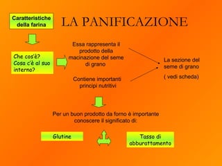 LA PANIFICAZIONE Caratteristiche della farina La sezione del seme di grano ( vedi scheda) Essa rappresenta il prodotto della macinazione del seme di grano  Contiene importanti  principi nutritivi Che cos’è? Cosa c’è al suo interno? Per un buon prodotto da forno è importante conoscere il significato di: Glutine Tasso di abburattamento 