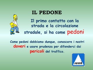 IL PEDONE
             Il primo contatto con la
             strada e la circolazione
        stradale, si ha come            pedoni.
Come pedoni dobbiamo dunque, conoscere i nostri
  doveri   e usare prudenza per difenderci dai
             pericoli   del traffico.
 