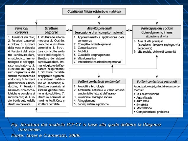 Esempio Di Progetto Di Vita Compilato Il pei e il progetto di vita