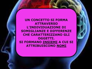 UN CONCETTO SI FORMA
ATTRAVERSO
L’INDIVIDUAZIONE DI
SOMIGLIANZE E DIFFERENZE
CHE CARATTERIZZANO GLI
OGGETTI.
SI FORMANO INSIEMI A CUI SI
ATTRIBUISCONO NOMI
 