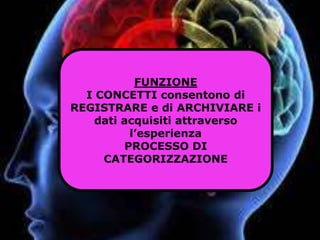 FUNZIONE
I CONCETTI consentono di
REGISTRARE e di ARCHIVIARE i
dati acquisiti attraverso
l’esperienza
PROCESSO DI
CATEGORIZZAZIONE
 