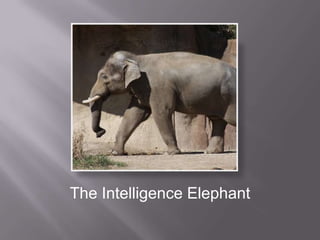 What is Intelligence?The Intelligence Elephant
