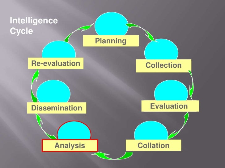 intelligence cycle