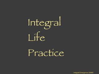 Integral Life Practice Integral Emergence 2008© 